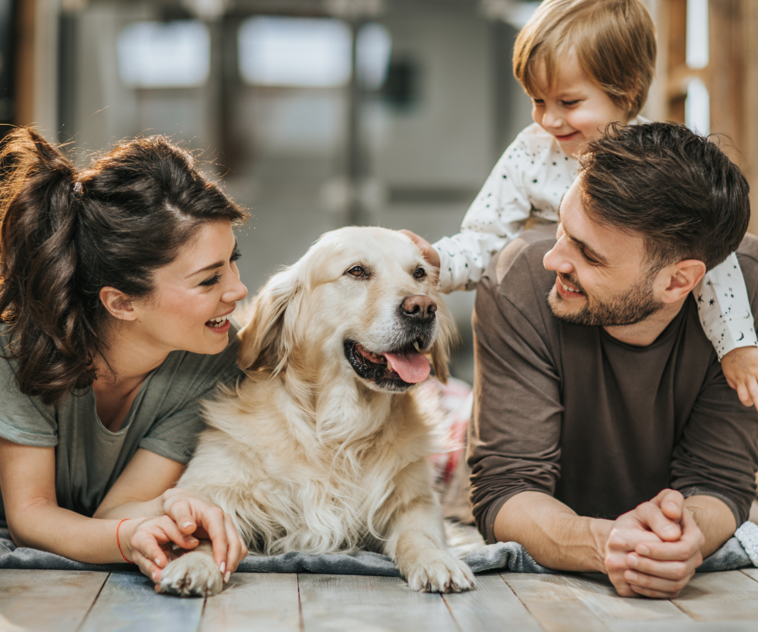 HOW HOME LOANS WORK IN SOUTH AFRICAC